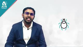 What is an Ethical Hacker 🛡️ | Ethical Hacking Explained for Beginners