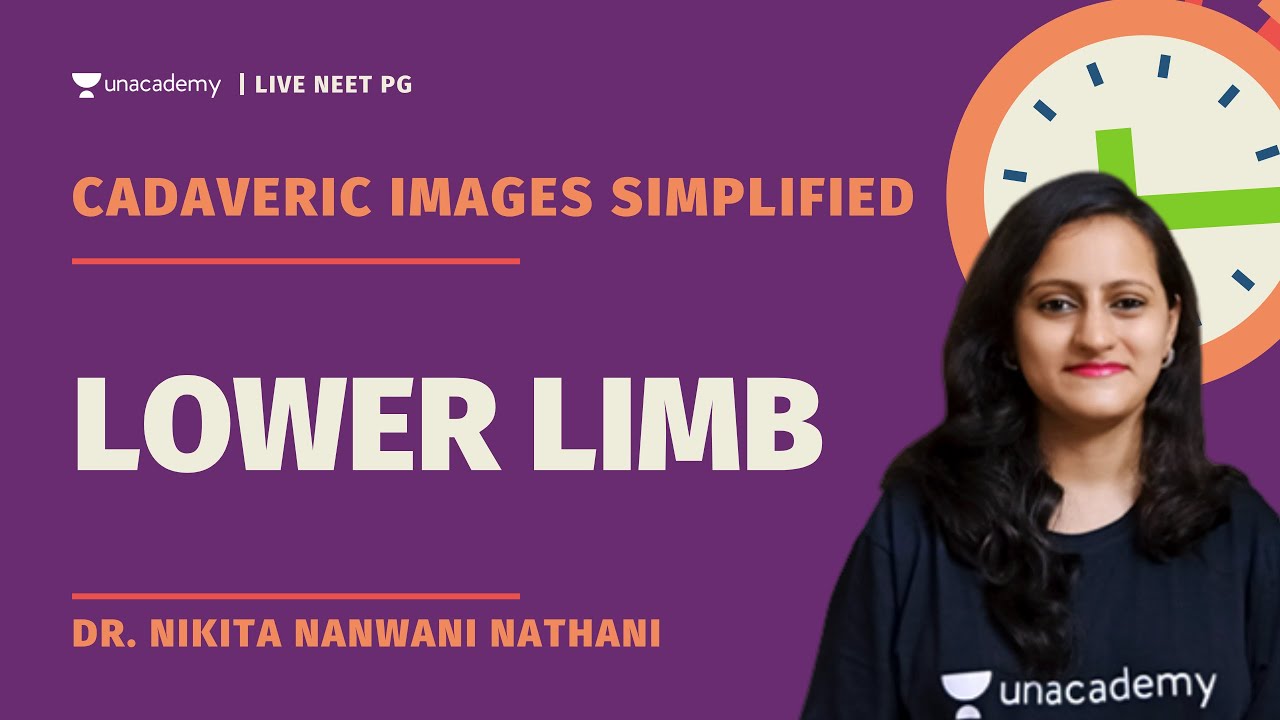Cadaveric Images Simplified | Lower limb | Anatomy | Dr. Nikita Nanwani