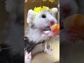sea food!