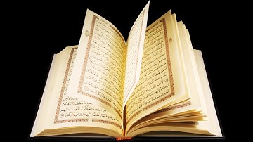 صفحة 8 سورة البقرة  القارئ محمد أيوب