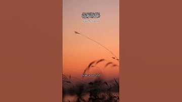 قرآن المغرب برواية رويس عن يعقوب || عمرو شاهين #القراءات_العشر