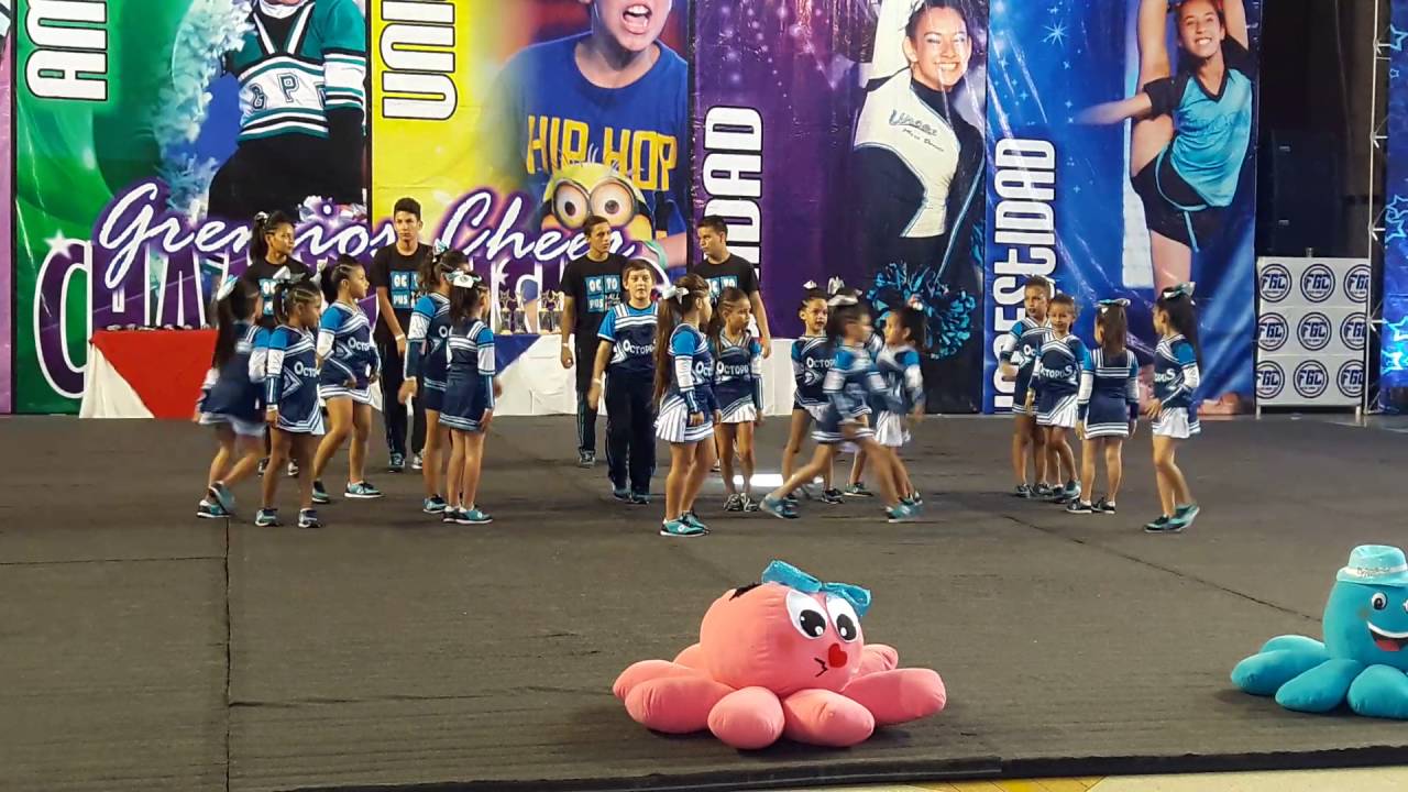 Octopus Nivel 1, Porrismo