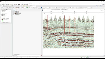 Displaying Data in Section View within Enverus Transform [Pro Tip]