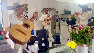 Mujeres Divinas - Mariachi los Mensajeros -  Mariachis Miami - 786-492-8441
