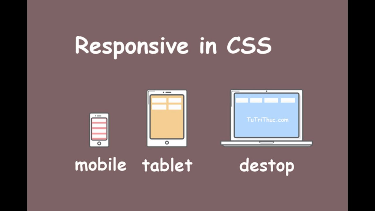 web responsive 2022 New 18. Responsive là gì?