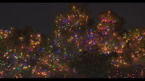 WATCH LIVE: UIW’s annual ‘Light the Way’ festival
