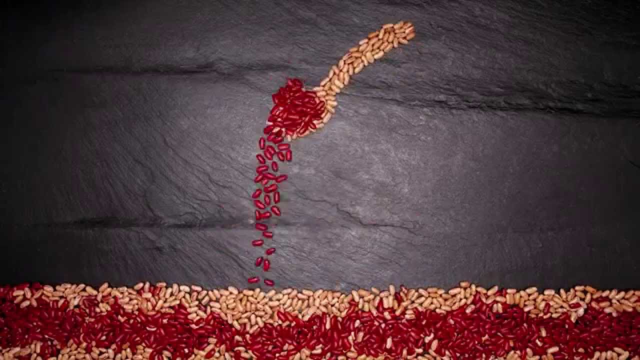 The UK at Milan Expo 2015: Food Stories (Super Beans)