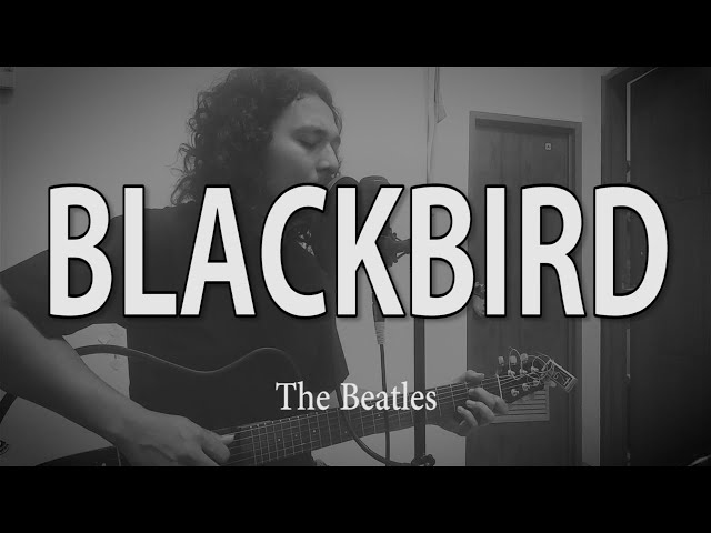 THE BEATLES - BLACKBIRD (Live Cover by Josh Sitompul) class=
