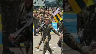 Parade Bersenjata parademiliter paradelucu carnaval shorts militerkocak lucu ngakak