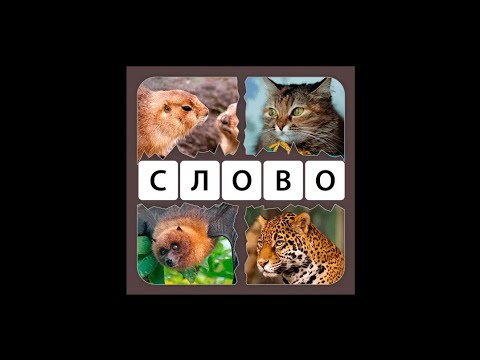 4 Картинки 1 Слово Увлечение Уровень 91-120
