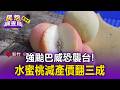 強颱巴威恐襲台！新竹果農急採收水蜜桃「減產價翻三成」【民怨調查局】