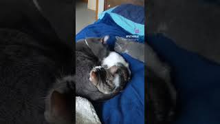 I love their bond Net Worth