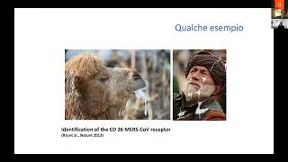 SR ITA TALKS | Ambiente e malattie infettive: crisi ecologica come problema di salute | F. V. SEGALA