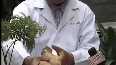 Cách Ngâm Rượu Đinh Lăng - Bổ Sinh Lý Nam