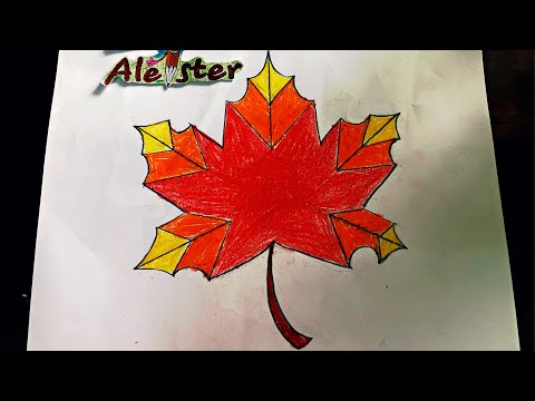 Vẽ cách điệu lá Phong lớp 7| Draw the maple leaf