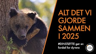 Alt det vi sammen gjorde for dyrene i 2025