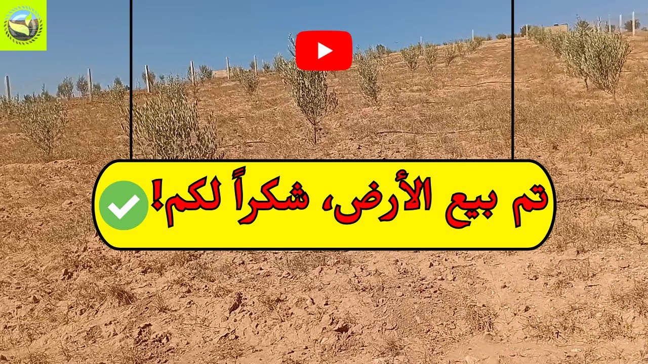 للبيع أرض بأيت عبو تبعد 10 كيلومتر عن الخميسات مساحة 7500 متر² فيها بئر ورخصة بناء و180 شجرة زيتون 🌳