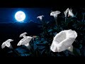 Atmospheric Jungle DnB Mix 4 (Moonflower) 160 BPM