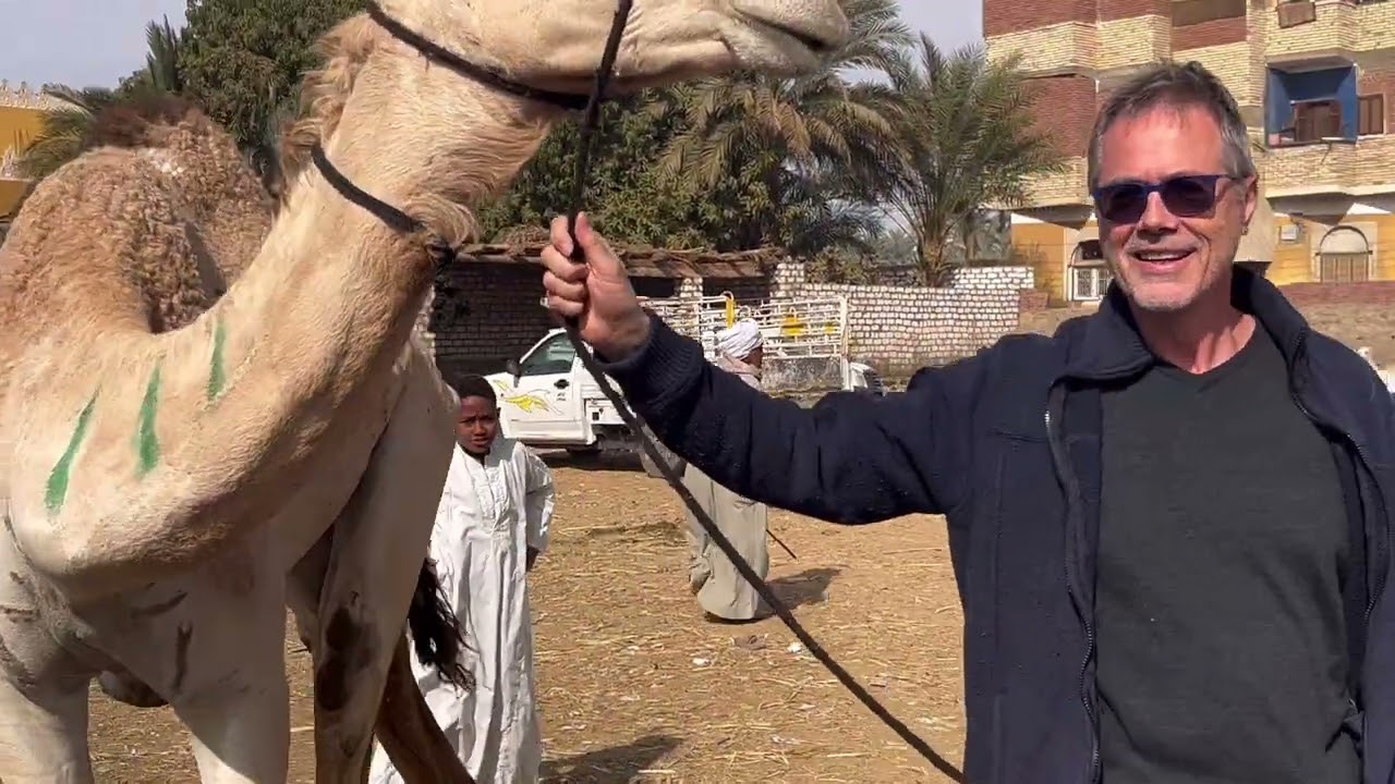 1 Mon périple de Louxor à Assouan (barrage), en passant par le marché aux dromadaires de Kom Ombo