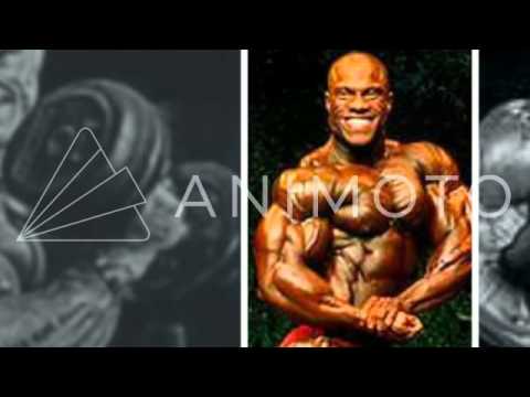 The program for the beginner bodybuilder