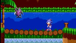 Sonic Warped (hack)