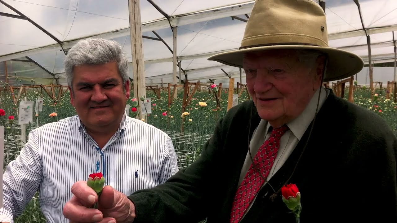 SB Talee 60 años (1962-2022)