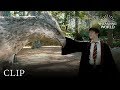 Meet Buckbeak | Harry Potter and the Prisoner of the Azkaban image