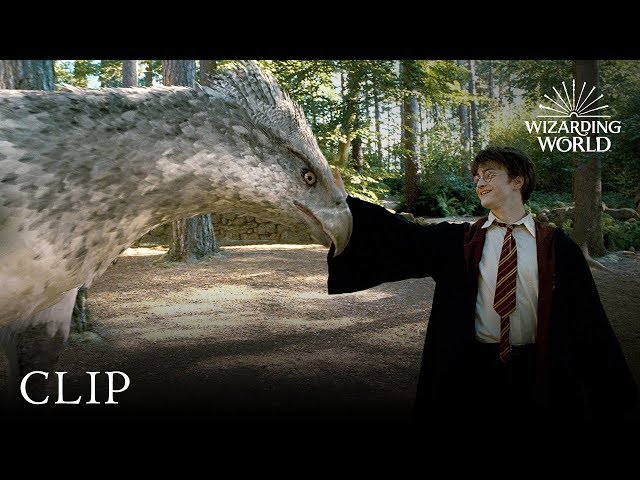 Harry Potter Meets Buckbeak - Irregular Verbs