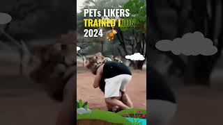 Amazing😲 Trained Lion 🦁 PETs Likers #shorts #animals #lion by PETs LIKERS 135 views 2 months ago 1 minute, 28 seconds