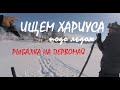 ИЩЕМ ХАРИУСА | Рыбалку спасает налим