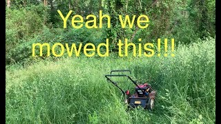 Mowing extremely overgrown lawn with a stihl fs 91r!