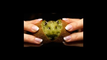 Kiwi Hamster ASMR :) #asmr #kiwi #cute #satisfyingvideo #relaxing #viral #animation #memes #eating