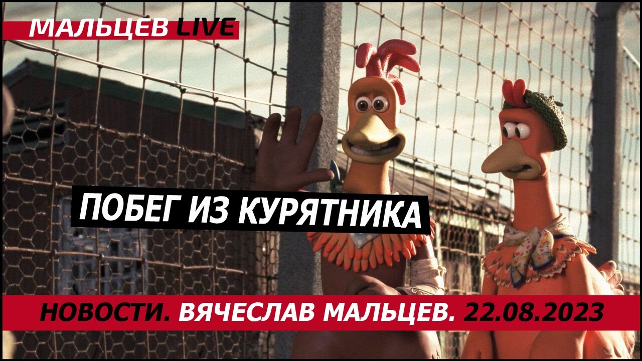 Побег из курятника - YouTube