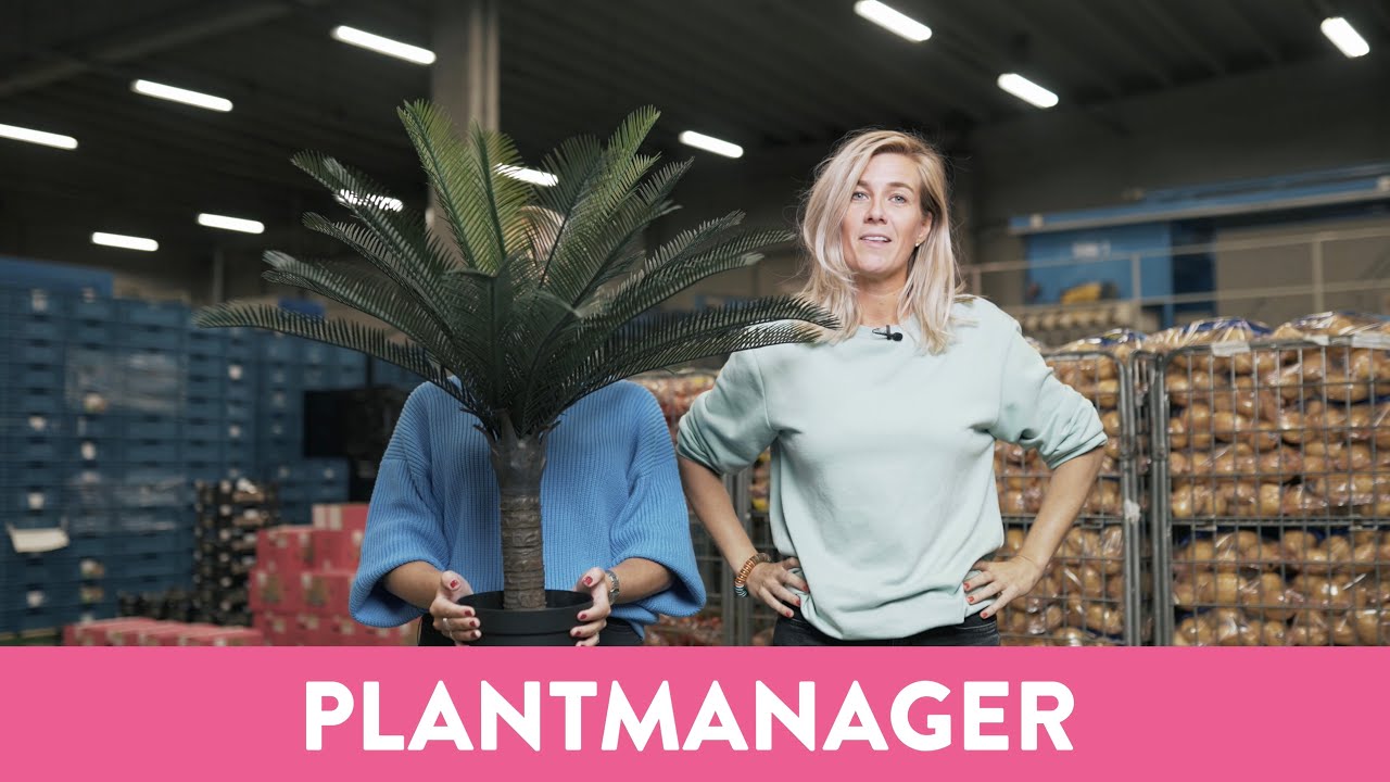 Vacature | Plantmanager | Jac van den Oord Potatoes