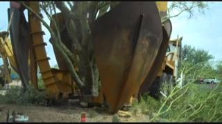 Verizon Wireless Tree Removal Sept 2012