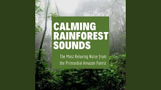 Soothing Rain Echoes