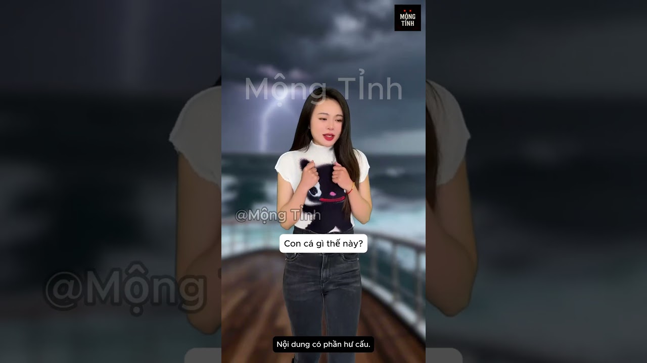 Những loài cá mập thần bí.