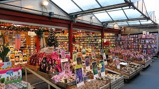 Flower Market in Amsterdam | Bloemenmarkt Amsterdam