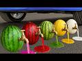 Crushing Crunchy & Soft Things by Car 2026 | Super Satisfying Experiment Car vs Balloons 🔴🟡🟢🔵