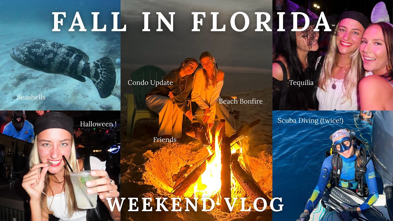 ВЛОГ ВЫХОДНЫХ В ЮЖНОЙ ФЛОРИДЕ! (подводное плавание, пляжный костёр, Хэллоуин)