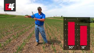E4 2019 Row Width Study