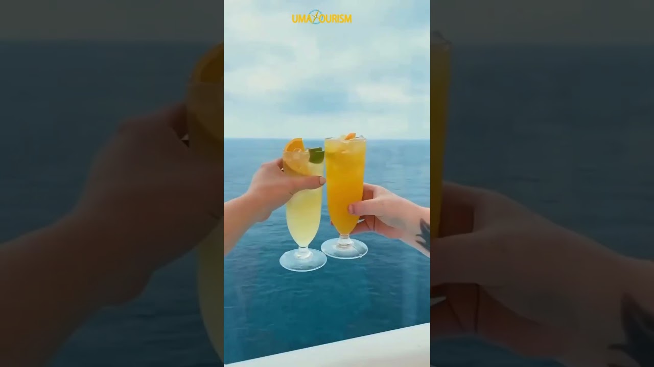 Sail into serenity: Experience the magic of Singapore from sea to skyline. 🚢✨