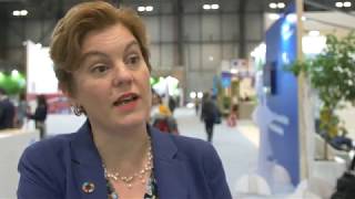 Laura Merrill on fossil fuel subsidies COP25