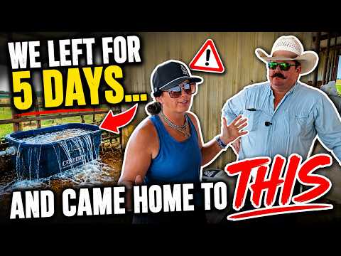 We Left The Ranch For 5 Days… And Came Home To This