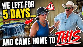 We Left The Ranch For 5 Days… And Came Home To This