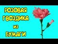 ГВОЗДИКА ИЗ БУМАГИ СВОИМИ РУКАМИ. КАК СДЕЛАТЬ ГВОЗДИКУ ИЗ БУМАГИ. ЦВЕТЫ ИЗ БУМАГИ СВОИМИ РУКАМИ