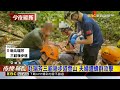連續兩日傳蜂襲！ 登山客爬小粗坑古道遭螫傷@newsebc