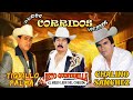 Chalino Sanchez, Beto Quintanilla y Tigrillo Palma Mix Para Pistear - Corridos  Pesados Mix