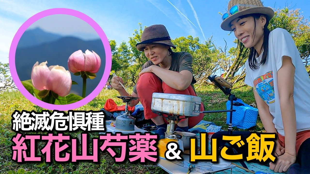Mountain climbing] Endangered safflower mountain peony & mess tin