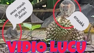 Vidio lucu tikus makan durian #lucu #unik #vidiolucu